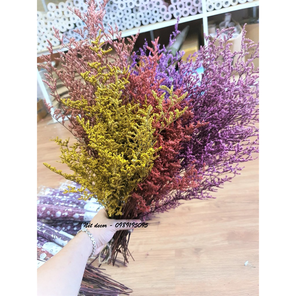 [hàng đẹp] bó hoa Tình Nhân ướp màu decor siêu xinh