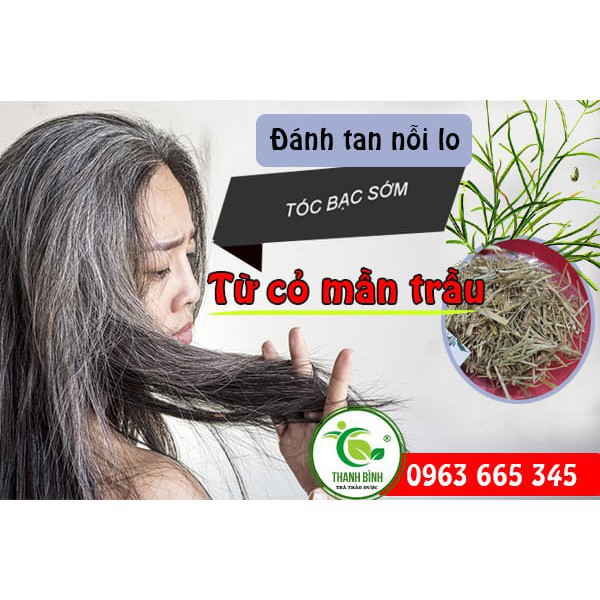 Cỏ Mần Trầu 500g - Loại 1 Organic Đạt Loại 1