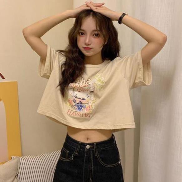 Áo thun nữ - dicay78