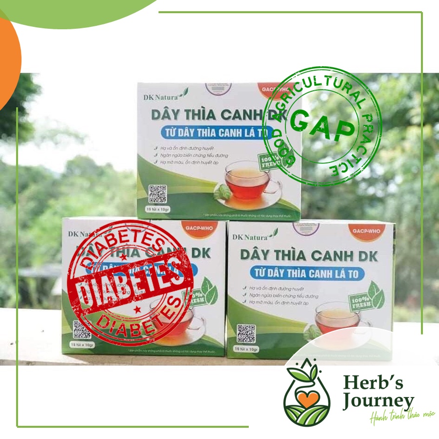 Dây thìa canh lá to - 𝐇𝐨̣̂𝐩 𝟏𝟓 𝐭𝐮́𝐢 - 100% dây thìa canh lá to - Ổn định đường huyết - DK Natur