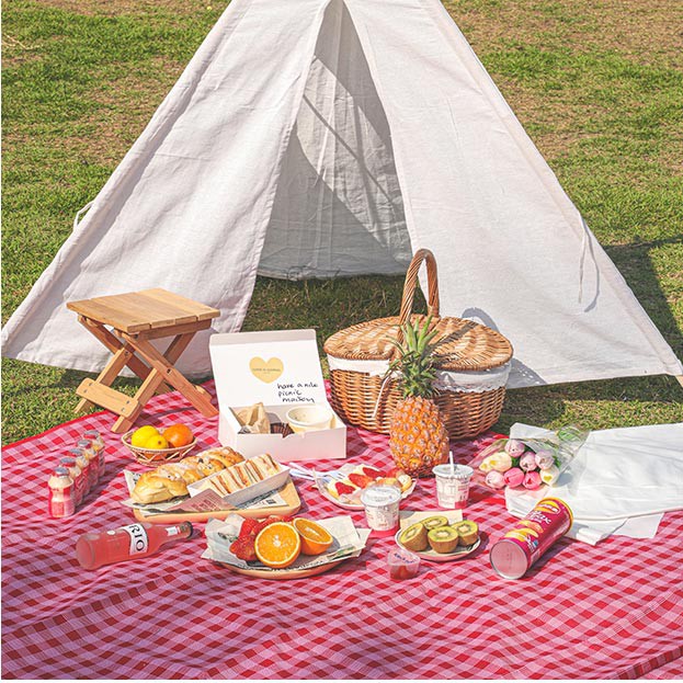 Thảm picnic gấp gọn, Thảm dã ngoại, Thảm du lịch cao cấp - Chống thấm nước, họa tiết caro, gấp gọn tiện lợi | BigBuy360 - bigbuy360.vn