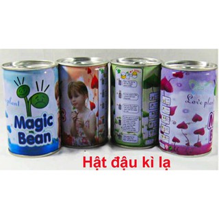HẠT ĐẬU THẦN KỲ (Đậu Magic)