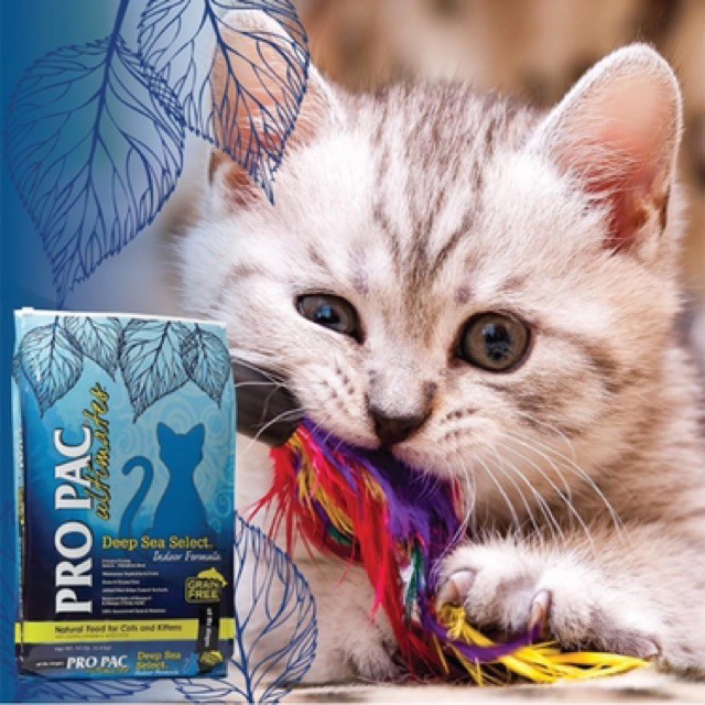 2kg - Hạt PRO PAC ® Deep Sea Select ™ cho Mèo - PRO PAC ® Deep Sea Select™ Whitefish&amp; Peas for Cats