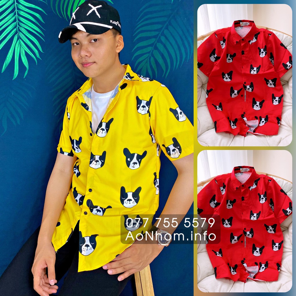 Áo sơ mi hoạt hình ★ Mèo Super Cat, Chó Bull Pháp | BigBuy360 - bigbuy360.vn