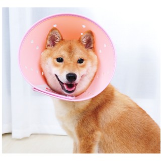 Loa Bảo Vệ Chó Mèo Chống Liếm Vết Thương