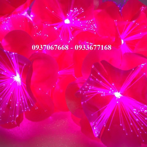ĐÈN LED BÔNG HOA 5M 20 BÔNG - ĐÈN LED TRANG TRÍ LỄ TẾT, NOEL
