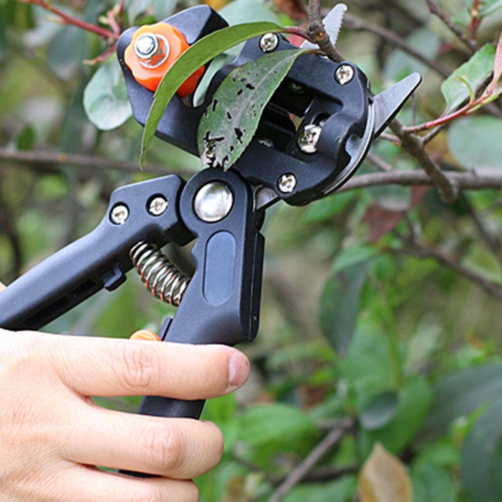 Dụng Cụ Ghép Cây Thanh Lịch|Kéo Cắt Tỉa Trái Cây Làm Vườn Nhiều Hình Dạng Bằng Hợp Kim