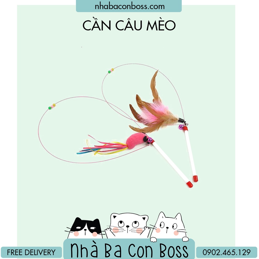 Cần câu mèo