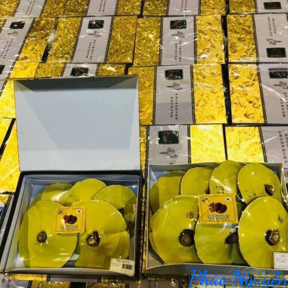 [Hàng Cao Cấp] Nấm Linh Chi Thượng Hạng Hàn Quốc Hộp Kim Tuyến 1kg, Thải Độc Gan Và Phòng Ngừa Ung Thư