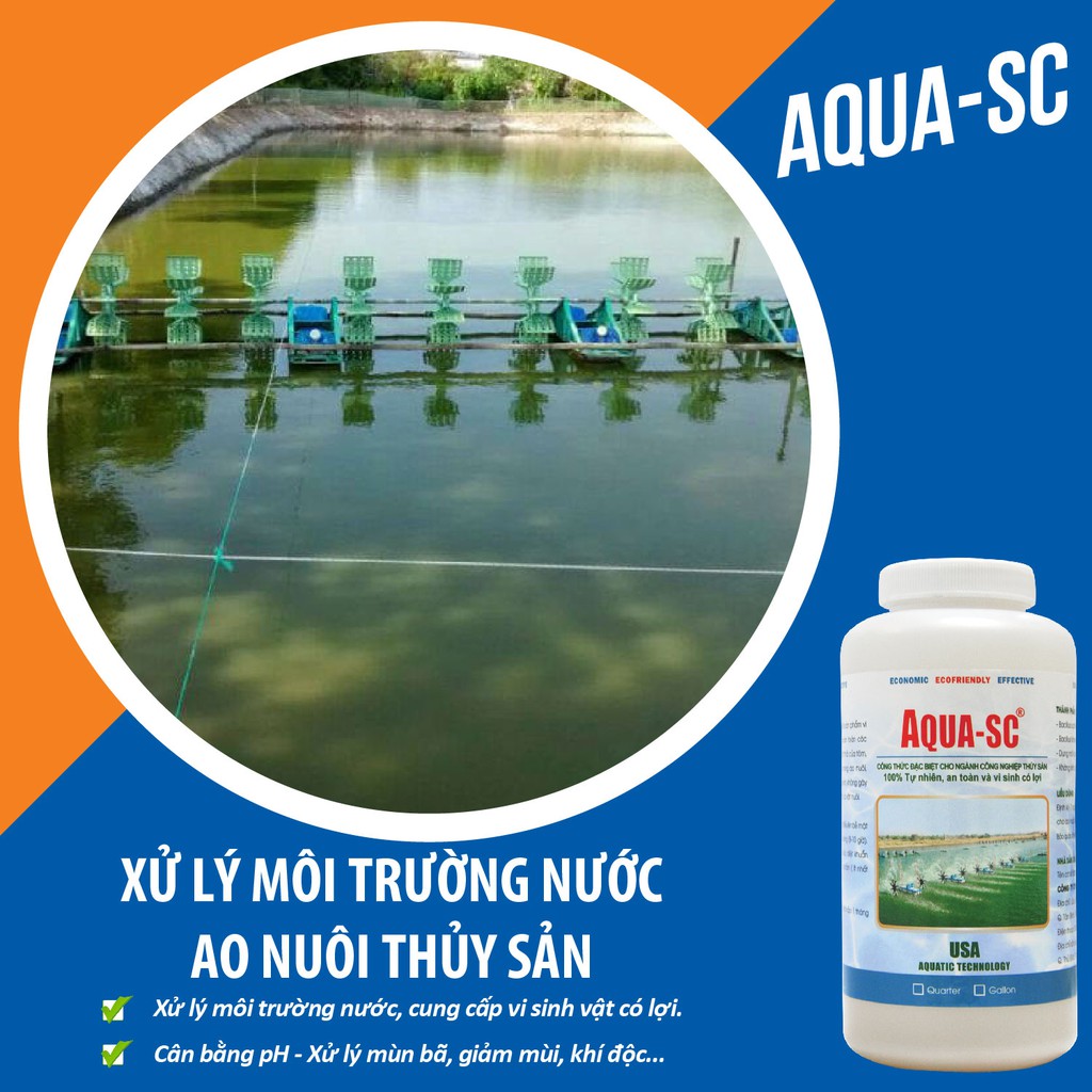 Hàng Mỹ - Vi Sinh Xử Lý Ao Nuôi Tôm, Ổn Định Màu Nước, Làm Sạch Đáy Ao, Cân Bằng pH - Aqua SC - Chai 1 Lít