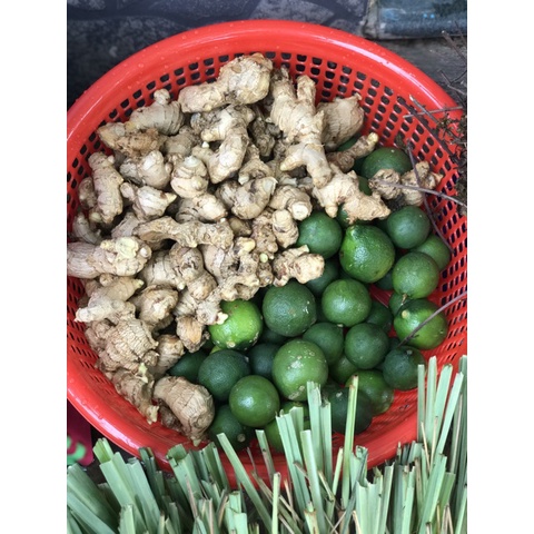 Dầu Gội Thảo Dược Bưởi Bồ Kết Hương Nhu Cô Đặc (1000ml)