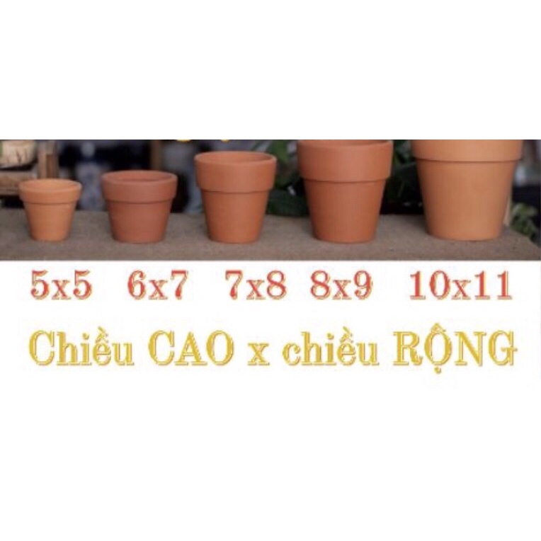 [Mã LIFE20KALL giảm 10% đơn 50K] chậu đất nung 5x5 và 7x7 - chậu mini trồng sen đá