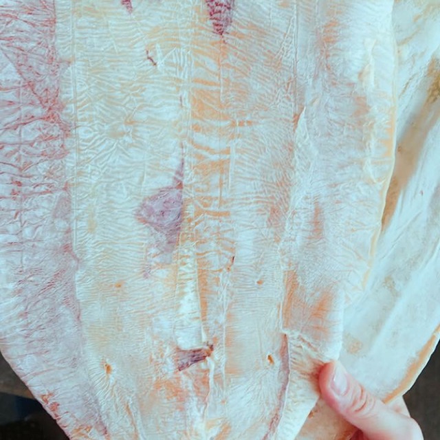 Mực lá khô