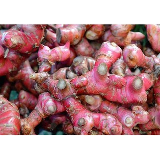 Củ Riềng tươi, 100gr tươi