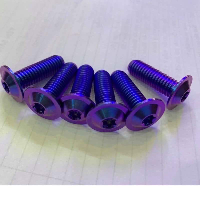 Ốc Titan 8ly25 Gắn Đĩa,Tay Sách Các Loại Xe