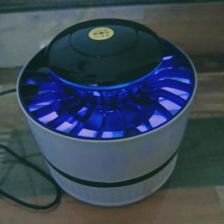 Đèn bắt muỗi