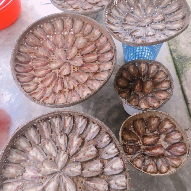 combo tường vi