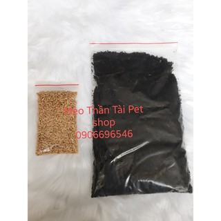 Combo Hạt Giống Cỏ Mèo ăn + Đất trồng