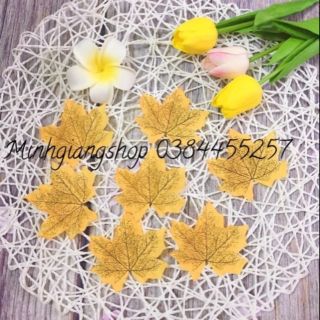 Sét 5 lá vàng khô vintage phụ kiện chụp ảnh