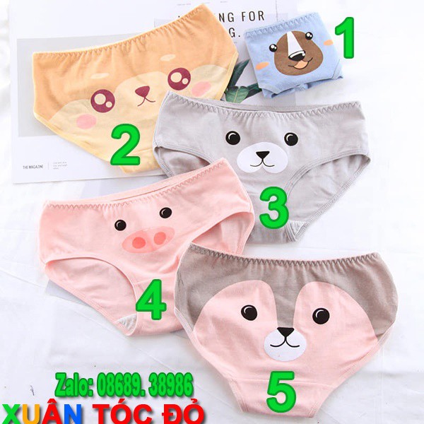 SỈ ZALO RẺ HƠN NHIỀU_ Quần Lót Mặt Loài Vật 5 Kiểu Siêu Dễ Thương 5070 | BigBuy360 - bigbuy360.vn