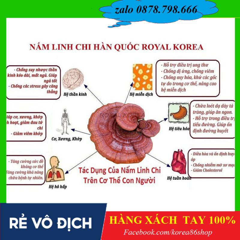 [ XÁCH TAY ]  Nấm linh chi tai đỏ 6 năm tuổi Hàn Quốc, Túi 1kg