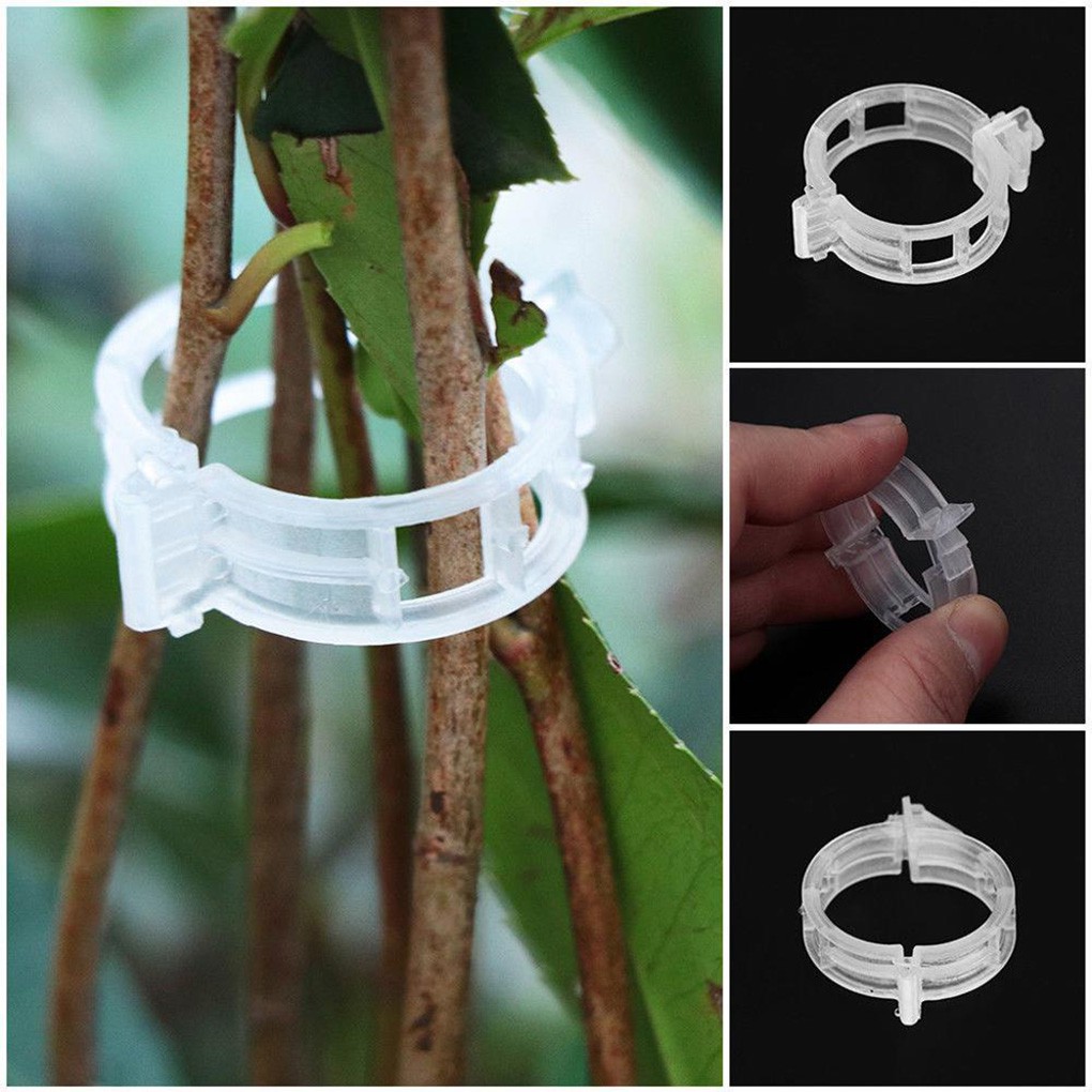 Set 100 Kẹp Hỗ Trợ Trồng Cây Leo Tiện Lợi