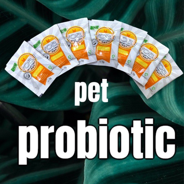 MEN TIÊU HOÁ PROBIOTIC CHÓ MÈO