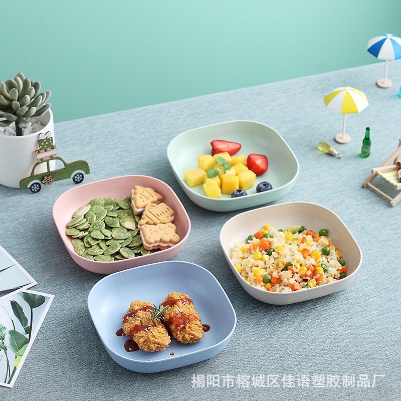 ĐĨA LUA MẠCH SIÊU XINH SIÊU RẺ | BigBuy360 - bigbuy360.vn