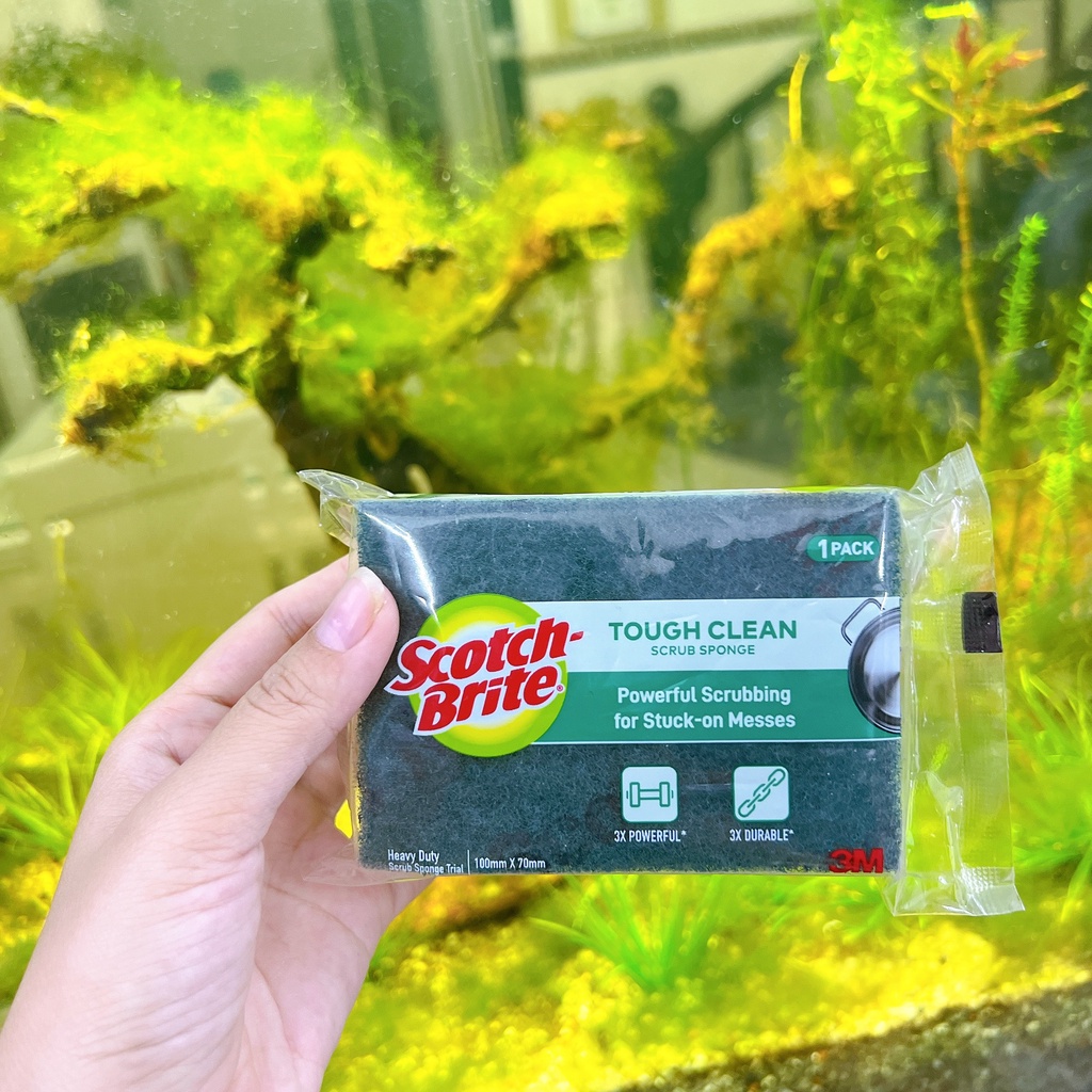 Miếng rửa chén 2 mặt siêu sạch chống trầy xước Scotch Brite 3M đa năng, 3 tác động làm sạch, độ bền cao