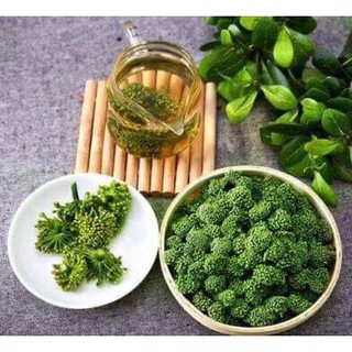 Hoa Tam Thất Bắc 100g