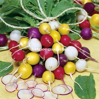 100H - HẠT GIỐNG CỦ CẢI CHERRY MIX