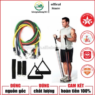 Dây Chun TẬP GYM NGŨ SẮC Thể Dục Thể Thao - Dây kháng Lực Tập Ghym Nâng Cao Sức Khỏe Tại Nhà