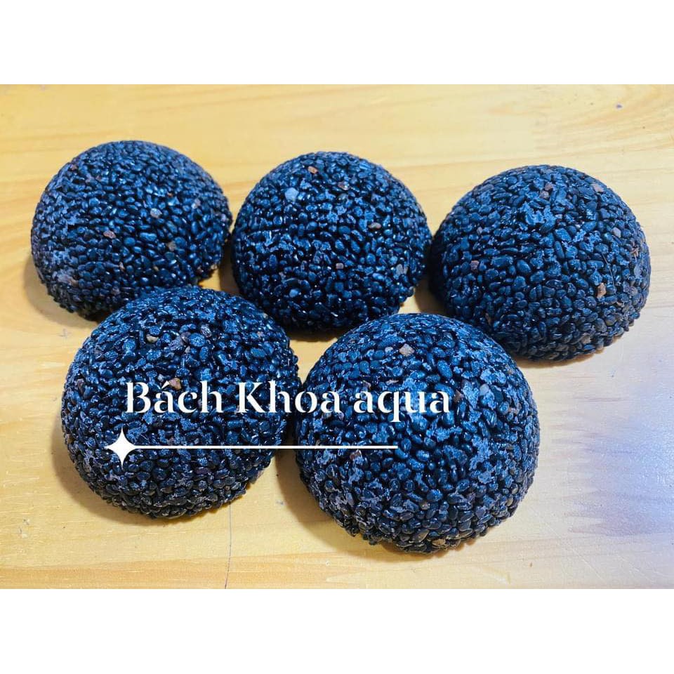 Giá thể cầu để gắn rêu ráy