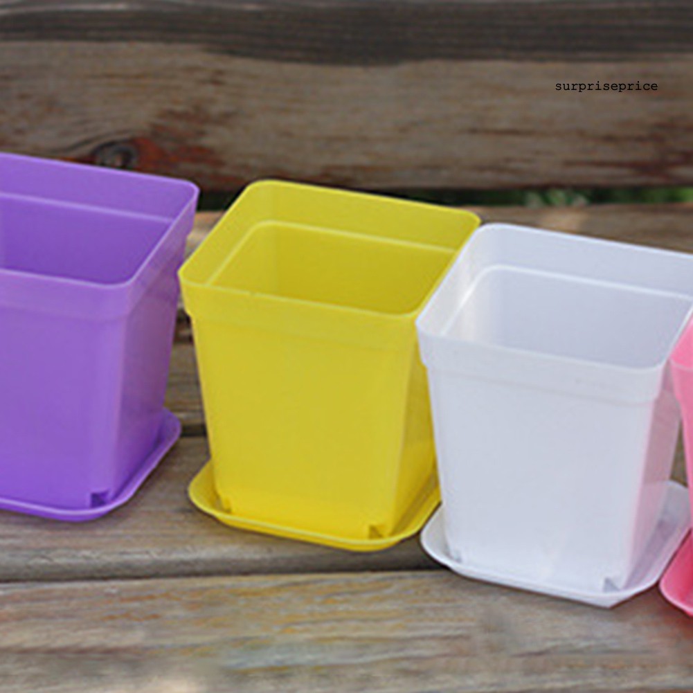 Set 10 / 20 Chậu Nhựa Dùng Trồng Cây Trang Trí Vườn