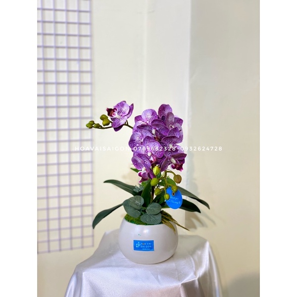Chậu hoa lan hồ điệp cao su nhỏ để bàn đủ màu