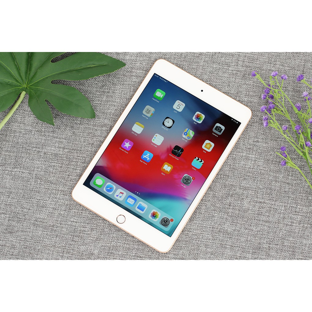 Máy tính bảng iPad Mini 7.9 inch Wifi 64GB (2019) | BigBuy360 - bigbuy360.vn