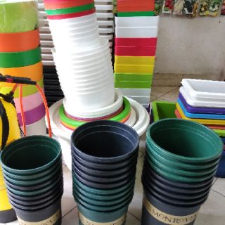Chậu Mon trồng cây