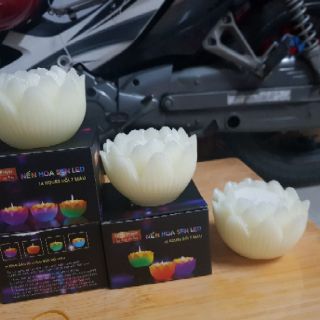 NẾN HOA SEN LED TỰ ĐỔI MÀU