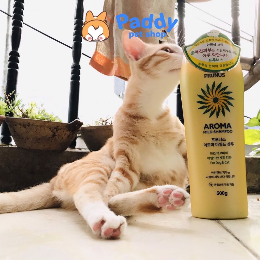 Sữa Tắm Thảo Dược Prunus Aroma Kháng Khuẩn Cho Chó Mèo 500g