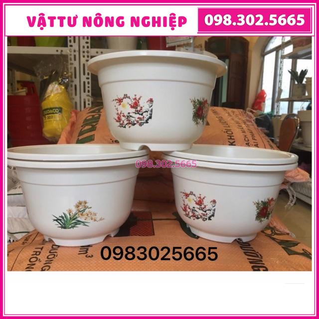 Chậu hoa bốn mùa trồng cây kt:25x17