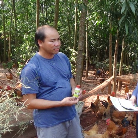 Chế phẩm sinh học VƯỜN SINH THÁI cho Chăn nuôi Gia súc, Gia cầm