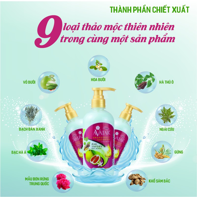 Dầu gội Thảo Mộc Bưởi &amp; Hà Thủ Ô AVATAR Giảm Rụng Tóc Bạc Tóc 500ml