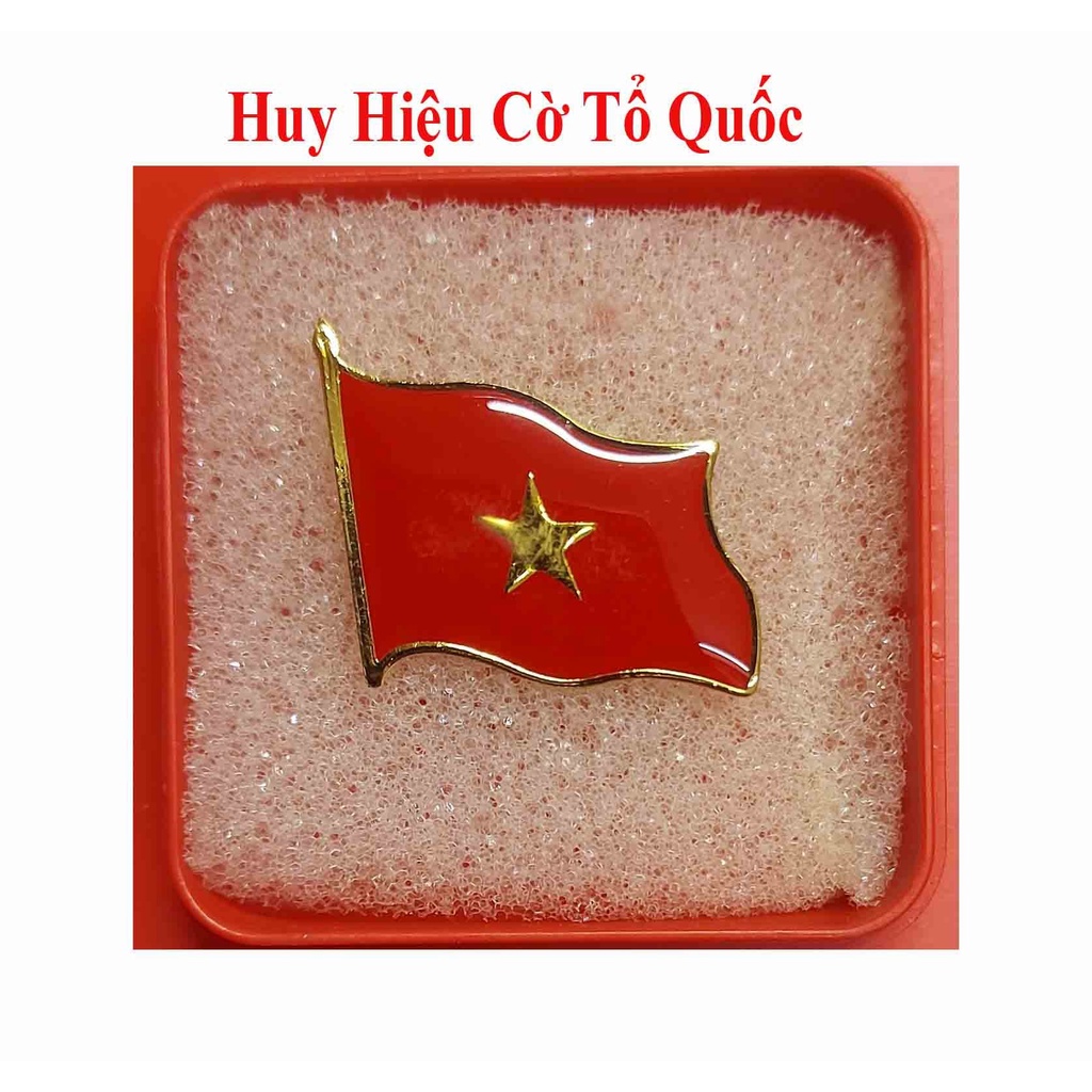 Huy Hiệu Mạ Vàng