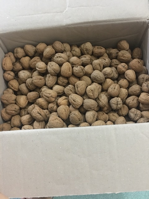 [Mã GROSALE2703 giảm 8% đơn 250K] 500g Nhân quả óc chó Hartley Mỹ | BigBuy360 - bigbuy360.vn