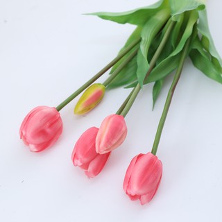 BÓ 5 CÀNH HOA TULIP CAO CẤP