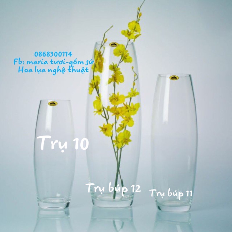 Lọ thuỷ tinh cắm hoa dáng trụ búp