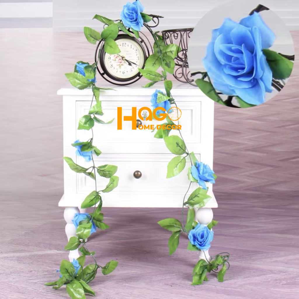 Dây Hoa Hồng Leo Nhiều Mẫu Trang Trí Tường,Hàng Rào, Ban Công Tuyệt Đẹp