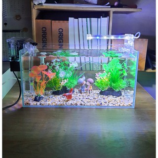 Bể cá 33 cm với 8 món (bể 33cm, sỏi nền, máy lọc, 2 cây nhựa vừa, cây nhựa mini, pk cặp đôi ngồi ghế, đèn led)