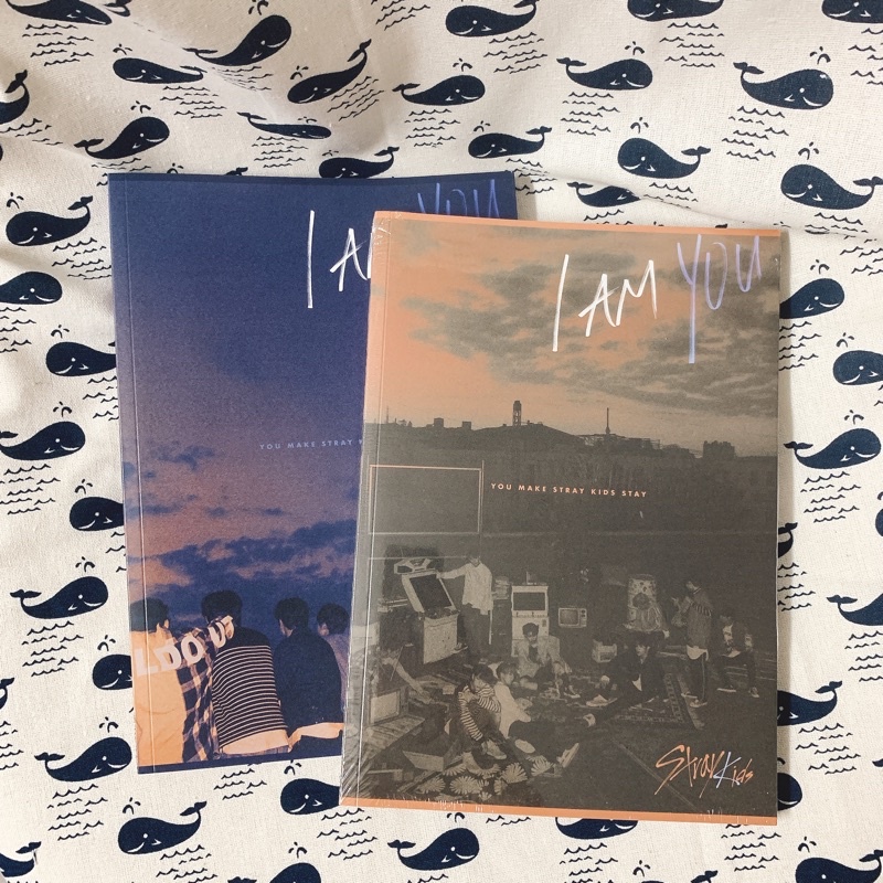 ALBUM I AM YOU - NHÓM NHẠC STRAY KIDS (NGUYÊN SEAL) | BigBuy360 - bigbuy360.vn