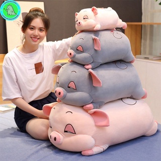 Gấu bông Gấu ôm Lợn Híp, Lợn Xám, Lợn Hồng siêu đáng iu kemkem27
